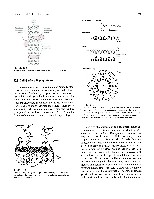 Bhagavan Medical Biochemistry 2001, page 192